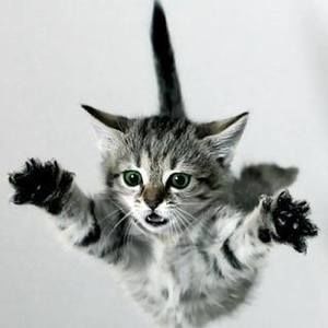 Meet your Posher, Cathy